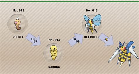 beedrill lv evolution